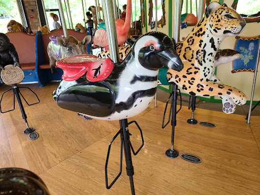 Conservation Carousel - Visual