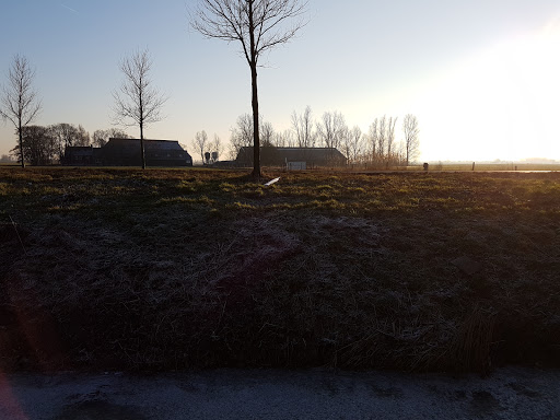 Zorgverbeteraars - Visual