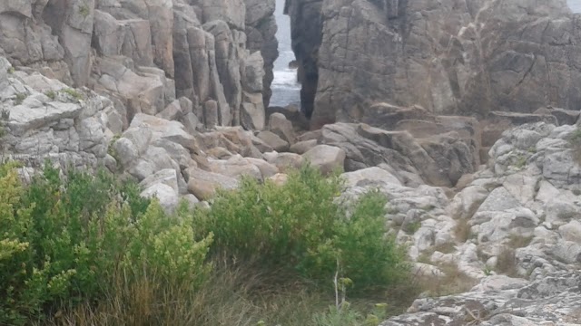 La cote sauvage