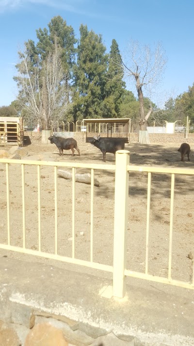 Photos of Bloemfontein Zoo