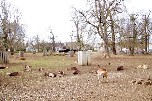 Hirschgarten