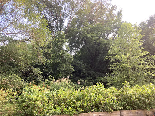 Bala Cynwyd Park Parking Lot