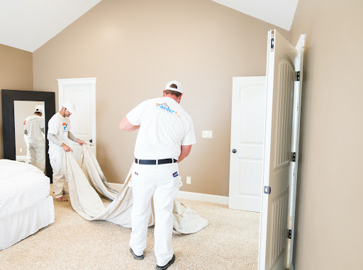 Painter1 of Nashville - Thumbnail