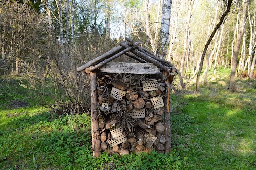 Lēdurgas Dendroparks