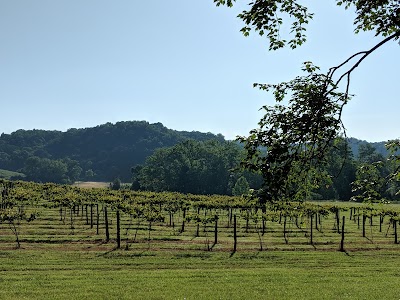 Goodwater Vineyards