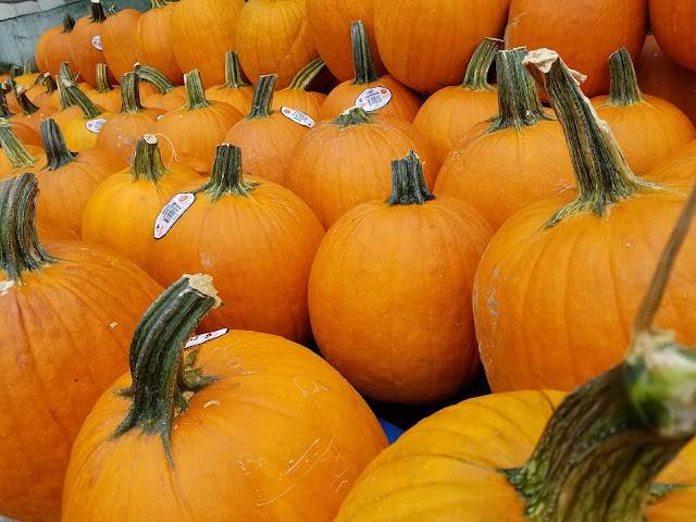 Devon Market