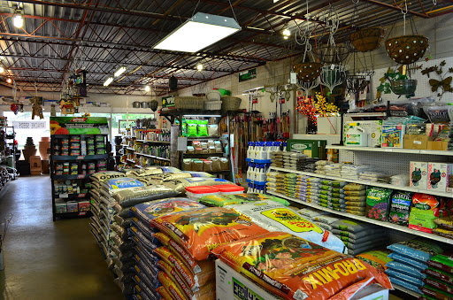 Apache Seeds Limited - Visual