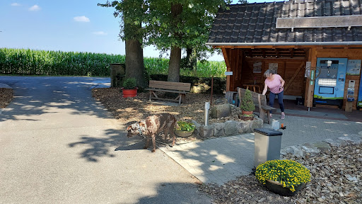 Hohe Mark Eis - Automat - Thumbnail