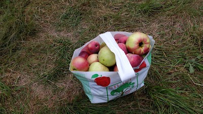 Photos of Stuarts Farm