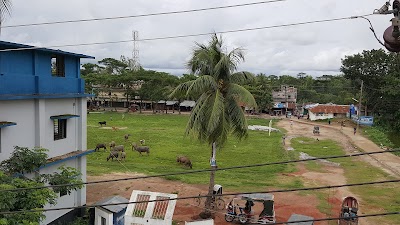 Photos of Kahariaghona Natun Masjid