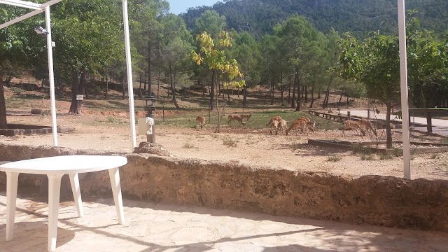El Chaparral Cazorla