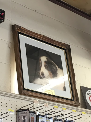 Chalmers Hardware - Visual