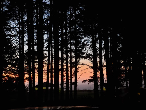 Bastendorff Camp Grounds - Thumbnail