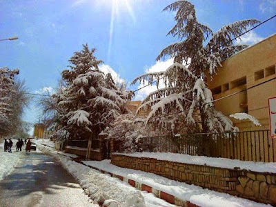 Photos of Theniet el Had city 120 s.h
