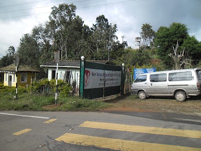 home-goods-store