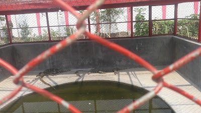Photos of Ghona Matpara