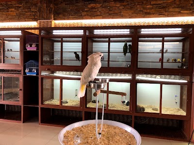Photos of Amazon Pet