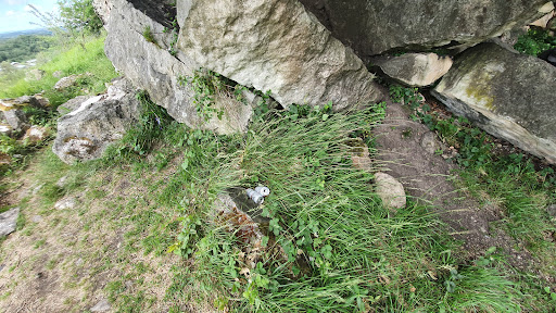 Trans Pennine Trail Conisbrough - Thumbnail