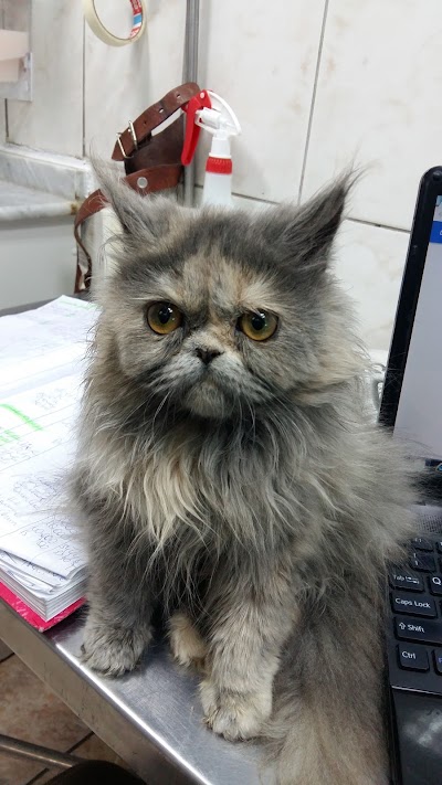 Photos of San Agustin Veterinary Clinic