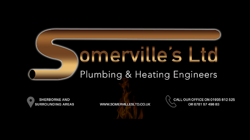 Somervilles - Visual