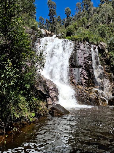 Steavenson Falls - Thumbnail