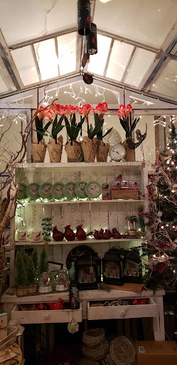 Weeping Willow Florist