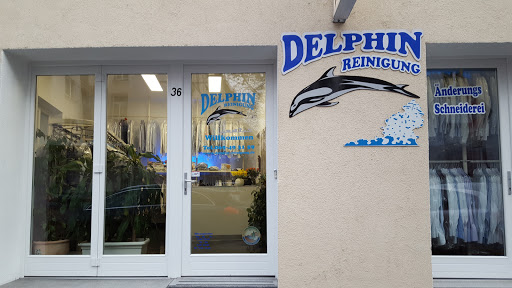 Delphin Reinigung