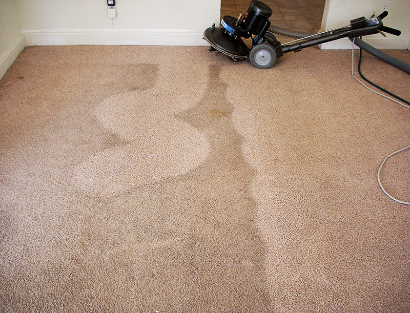 Milwaukee Area Carpet Cleaning