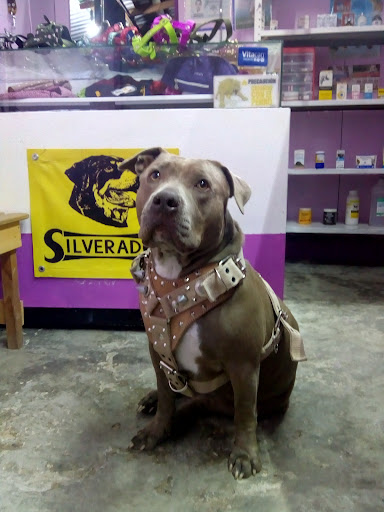 VETERINARIA NESSI
