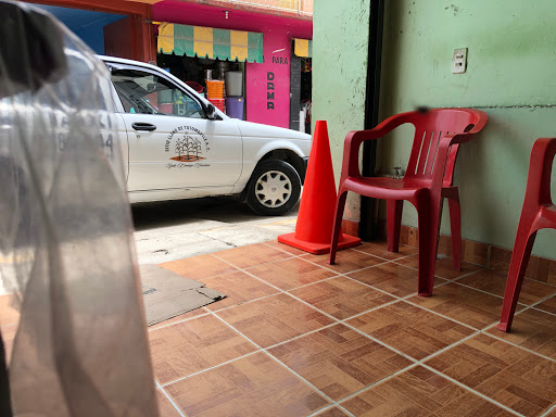 Sitio De Taxis Llano De Totomoxtle S.A - Thumbnail