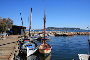 Photo n°3 de O'ThauBus à Balaruc-les-Bains (Service de navette aéroport)