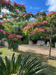 Photo n°77 de Vinauberge - Restaurant, Bar à vin, Gîtes à Poilhes (Bar à vin)