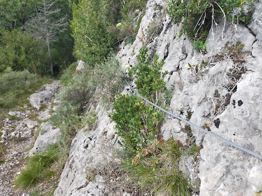 El Malpas - Visual