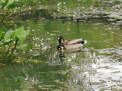Dr. Kremser Park - Visual
