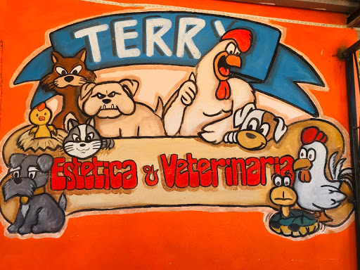 Estética Canina Y Veterinaria Terry