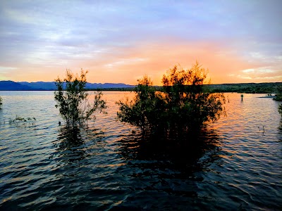 Alamo Lake State Park