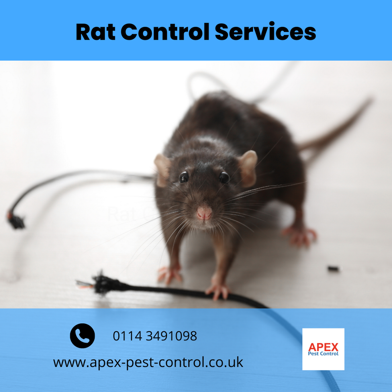 The Best Mouse Trap Ever IsAn Exterminator  Suburban Exterminating -  Pest Control & Extermination Services