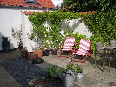 photo of Nature trail Silkeborg B & B