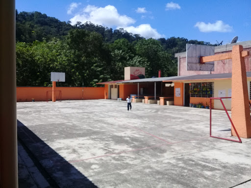 Primaria Dr Belisario Dominguez Palencia - Thumbnail