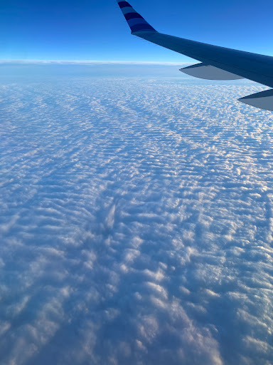 JetBlue - Visual