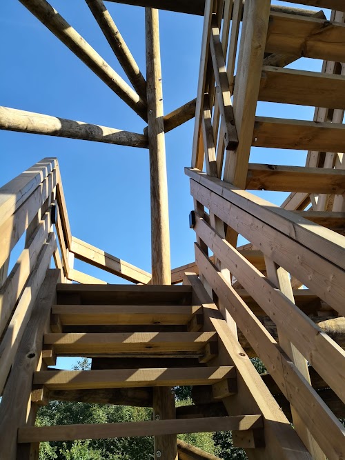 Aktyvus laisvalaikis