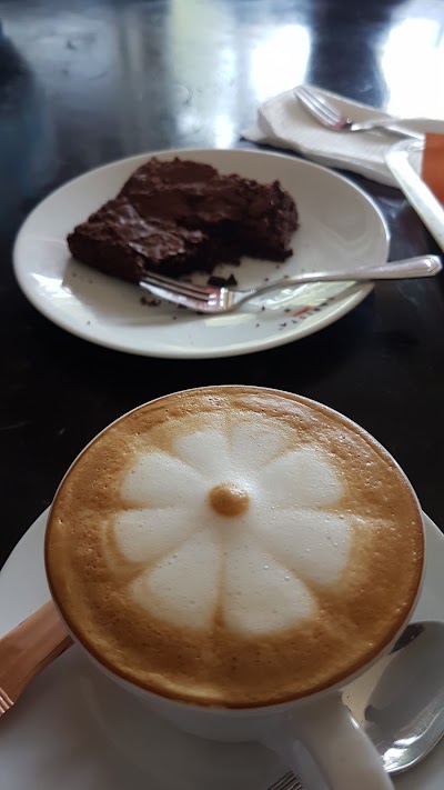 Photos of Barista