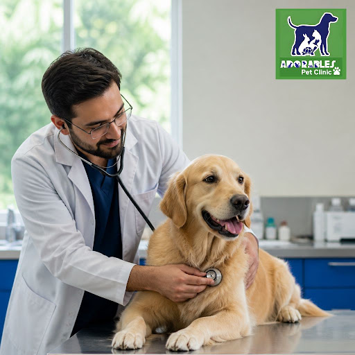 At Adorables Pet Clinic, we believe the best way to keep your pet healthy and happy for years is… post image