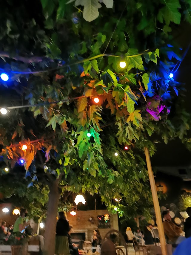 Le Biergarten Saint Michel