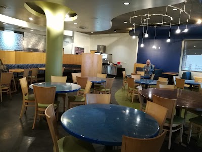 Photos of Blue Lemon Restaurant and Cafe