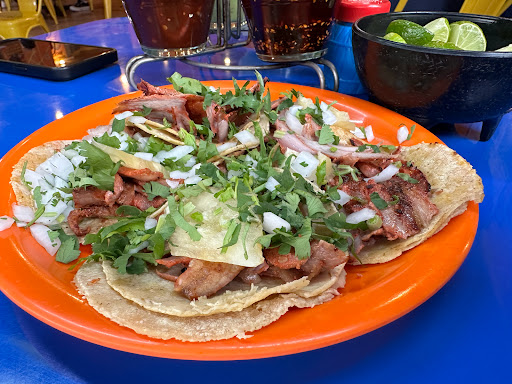 Taquería Álvaro Obregón - Thumbnail