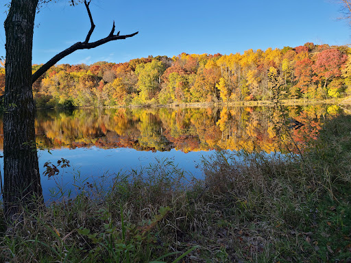 Berry Patch Park - Visual