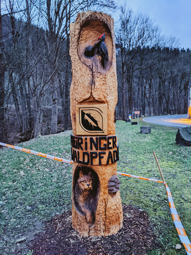 Leutenberger Urwaldpfad - Visual