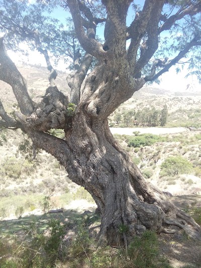Photos of Siete Cascadas