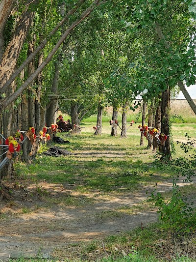 Franklin City Park